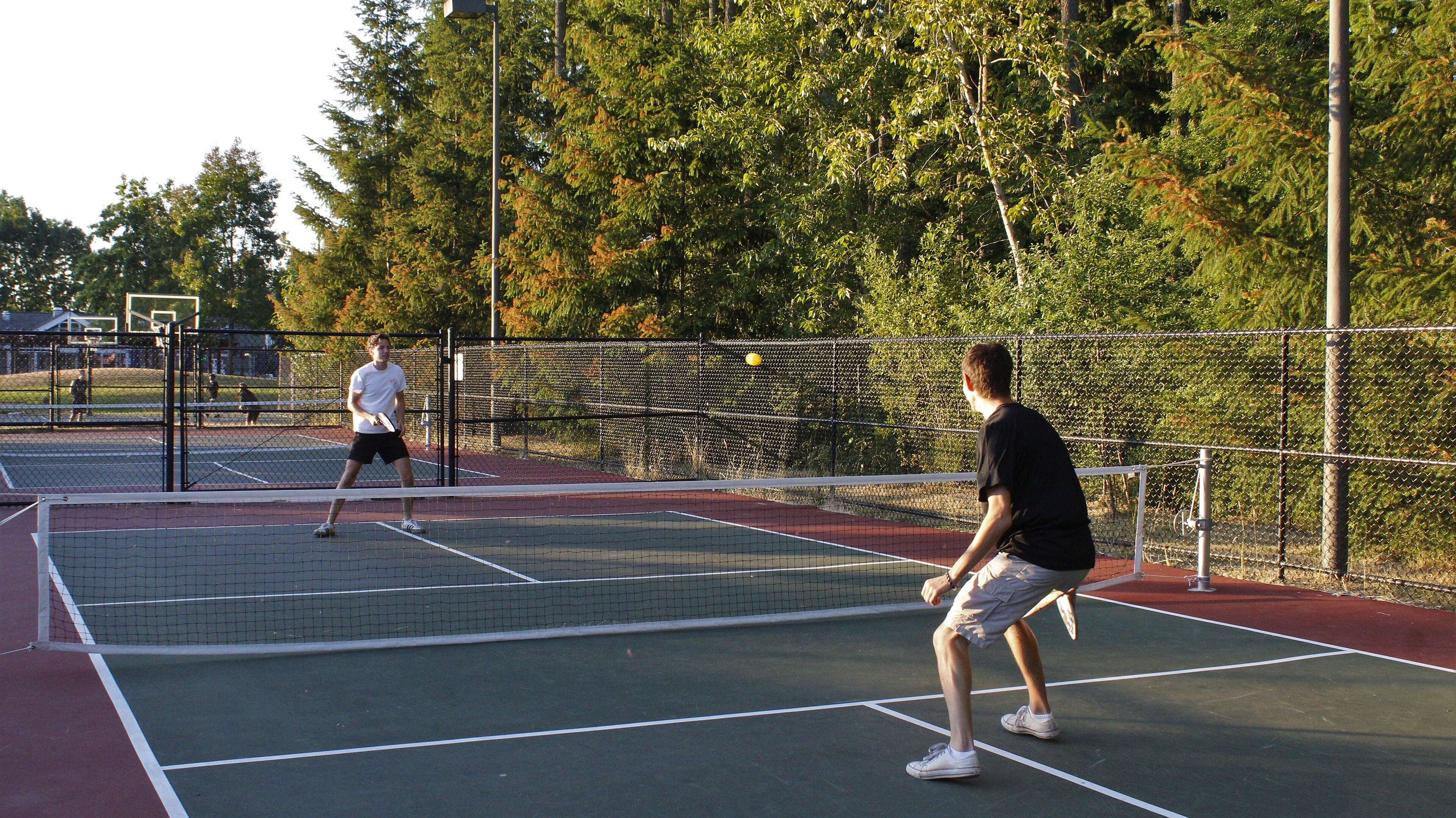 Pickleball court action shot