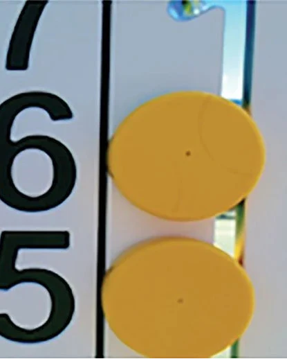 Bocce for league players with red yellow scoreboard indicators
