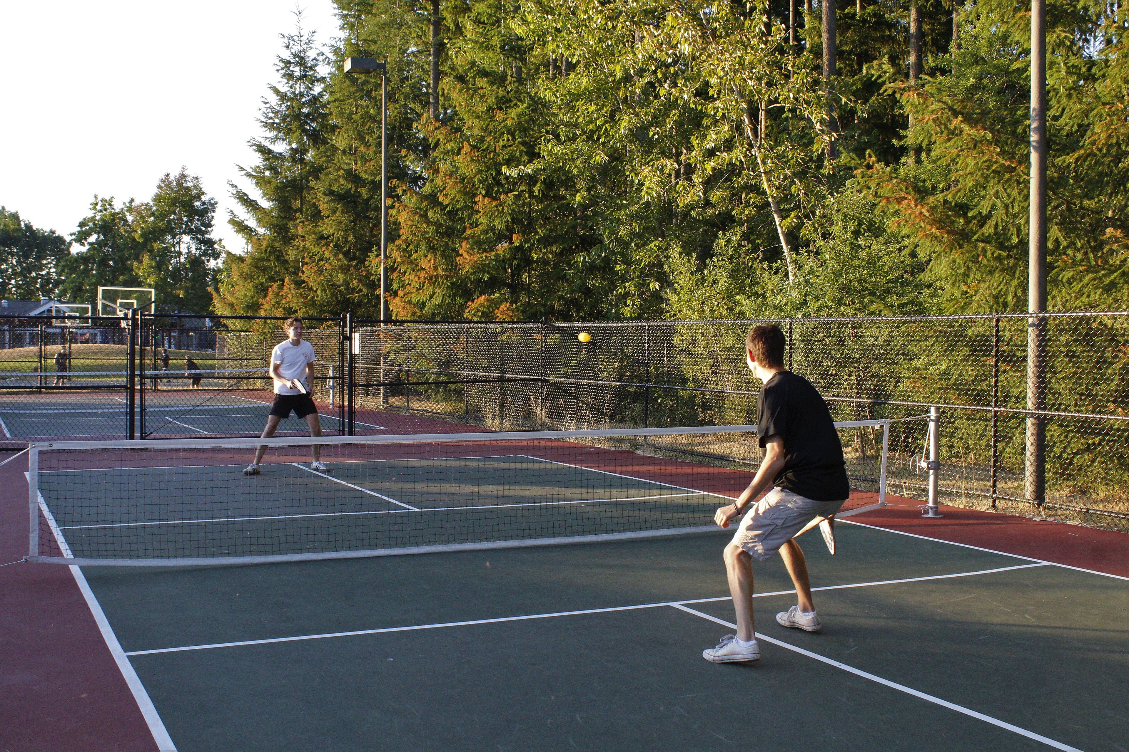 Pickleball court action shot