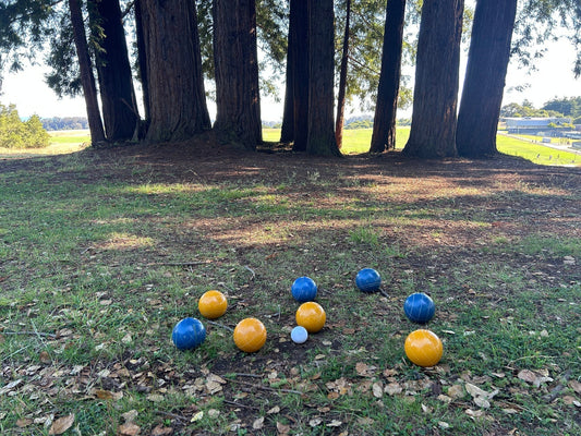 9 Beautiful Places to Play Bocce in Santa Cruz