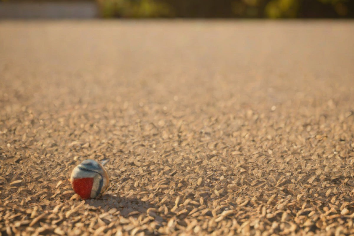 Best Bocce Court Maintenance Tools (2026)
