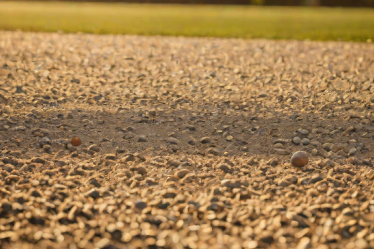 Best Bocce Courts in Washington DC and Northern Virginia (2026)