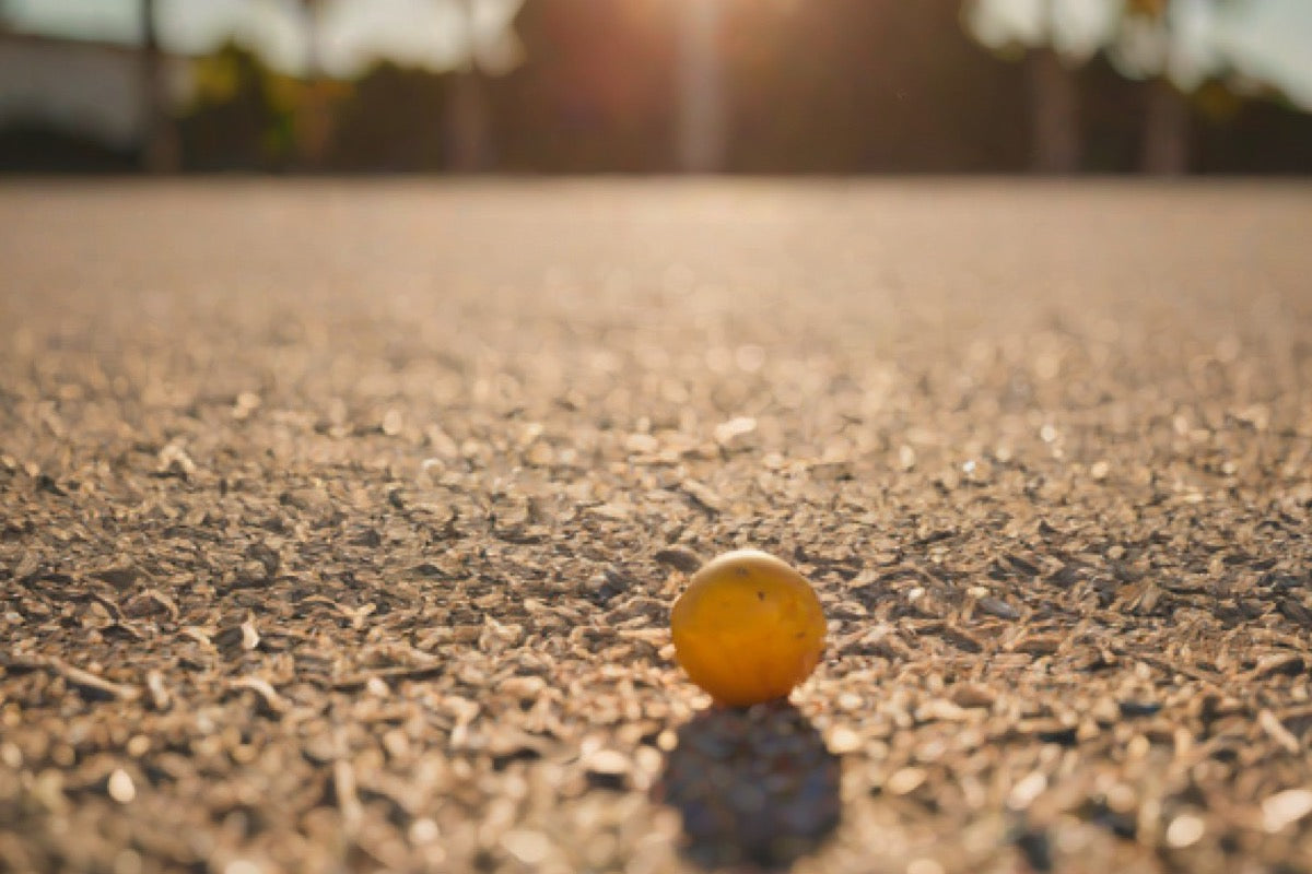 Best Bocce Courts in Miami, Florida (2026)