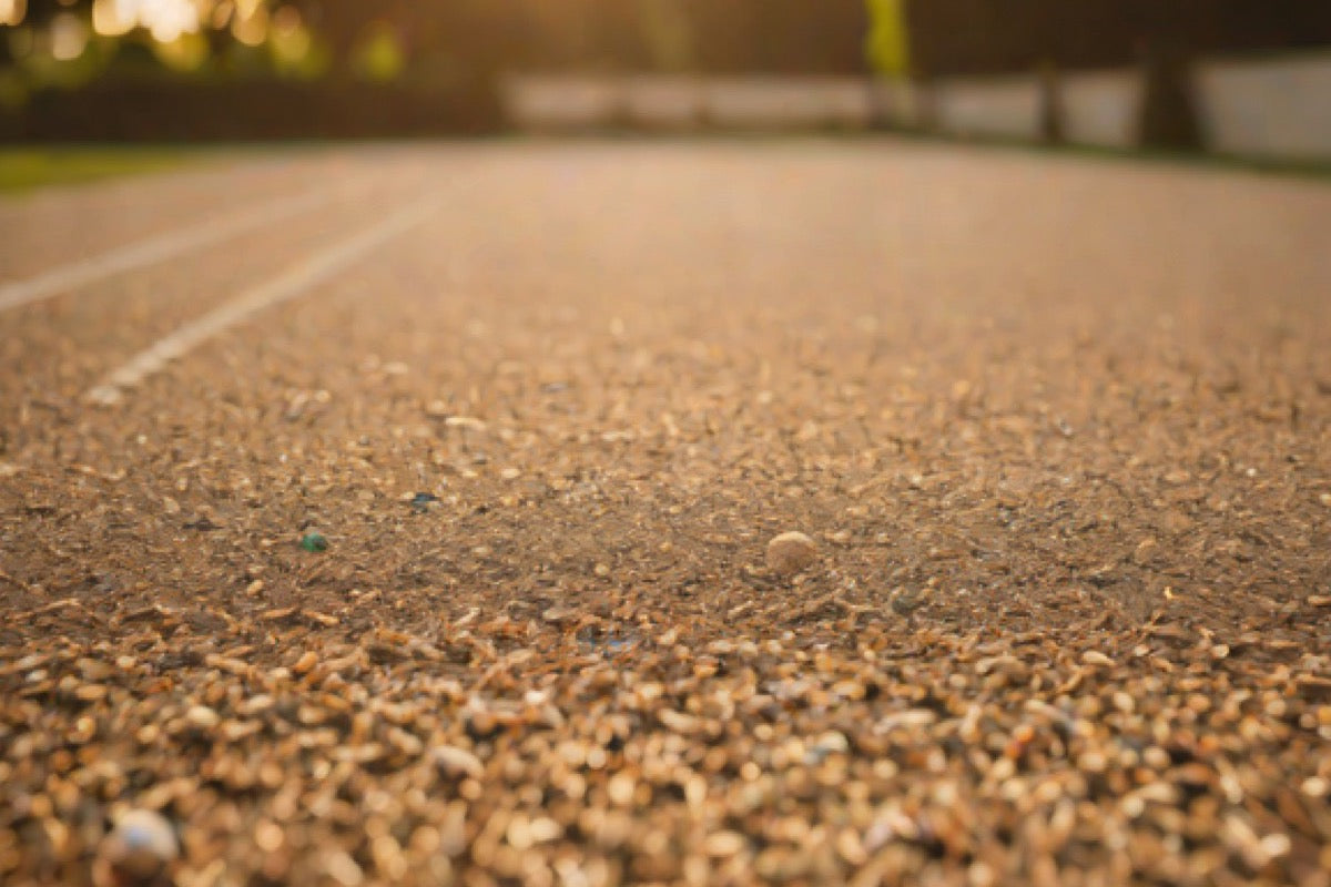 Best Bocce Courts in Minneapolis-St. Paul (2026)