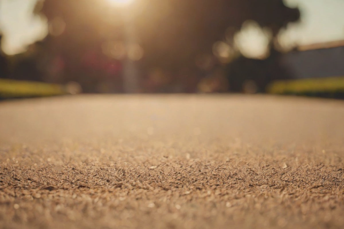 Best Bocce Courts in San Diego (2026)