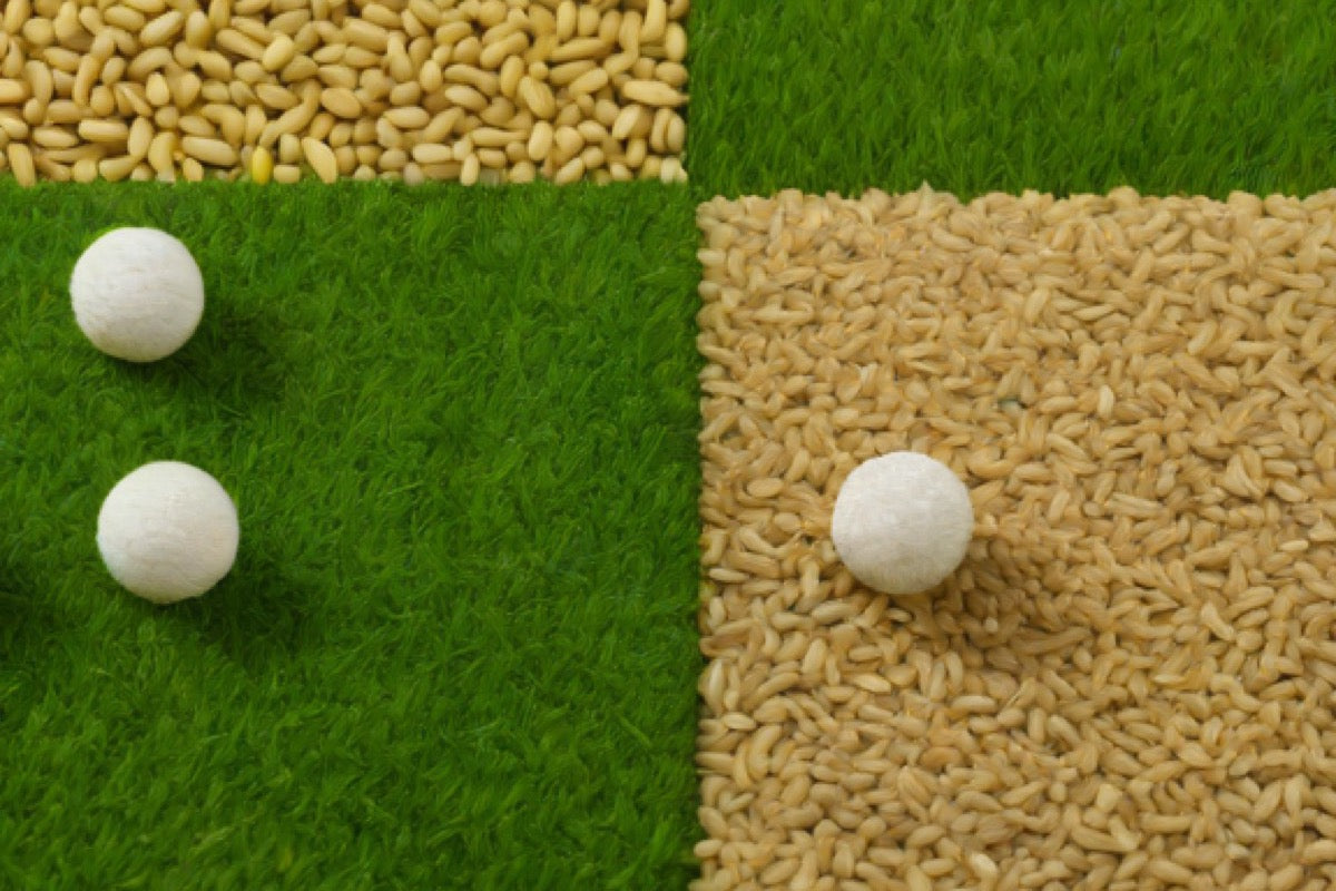 Bocce Court Surface Materials Compared: Oyster Shell vs Har-Tru vs Turf vs Crushed Stone (2026)