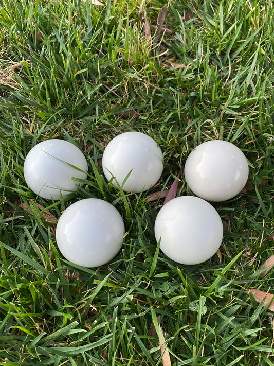 White Pallinos for Bocce Ball Set