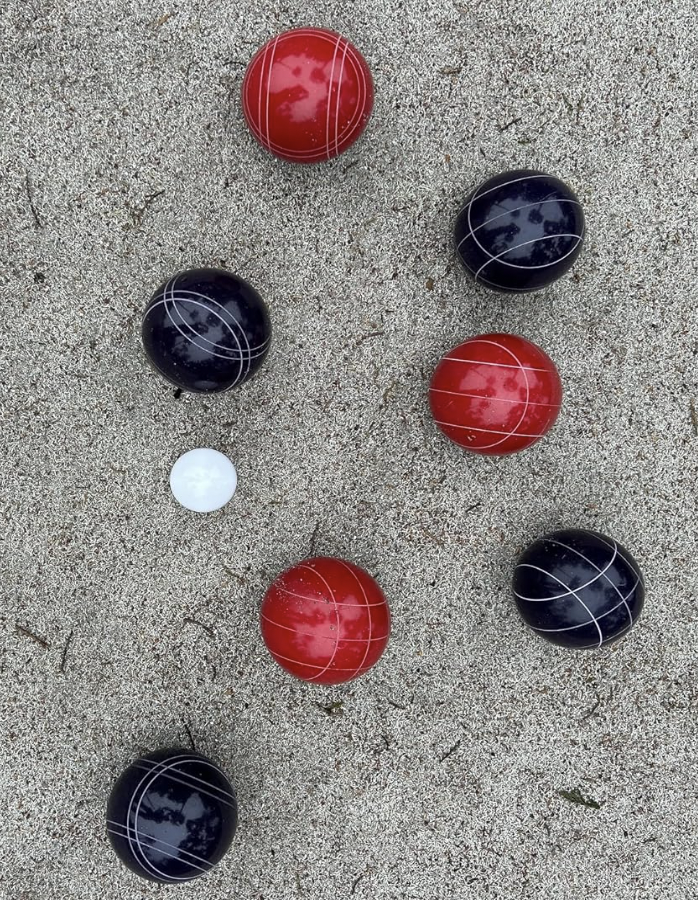 EPCO 107mm Tournament Quality Professional 8 ball Bocce Ball Set, Purple/Rustic Red Balls Bag Included