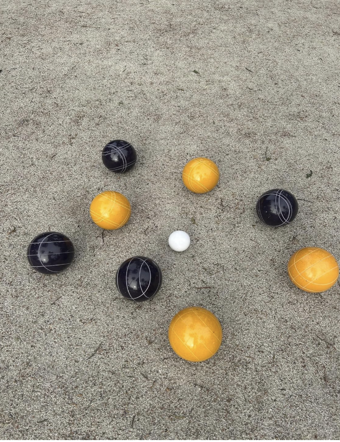 EPCO 107mm Tournament Quality Professional 8 ball Bocce Ball Set, Purple/ Gold Balls Bag Included