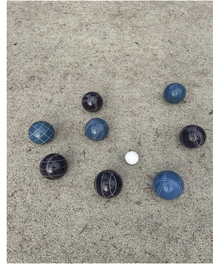 EPCO 107mm Tournament Quality Professional 8 ball Bocce Ball Set, Purple/Rustic Blue Balls Bag Included
